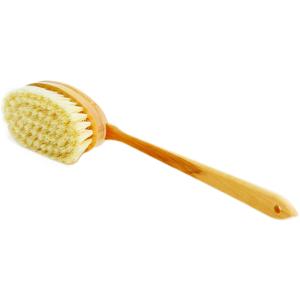 I use Bernard Jensen's dry brush. The handle is removable and it's made with natural tampico bristles. 